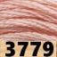 3779