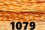 1079