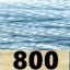 800