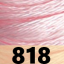 S818