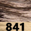 S841