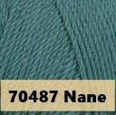70487 Nane