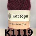 K1119