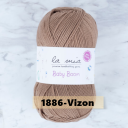 1886-Vizon