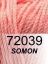 72039 Somon