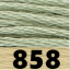 858