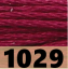 1029