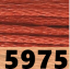 5975