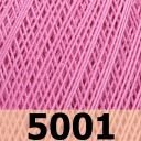 5001