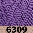 6309
