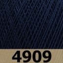4909