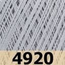 4920
