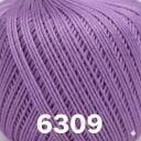 6309