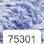 75301