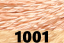 1001