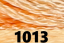 1013