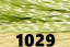 1029