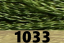 1033