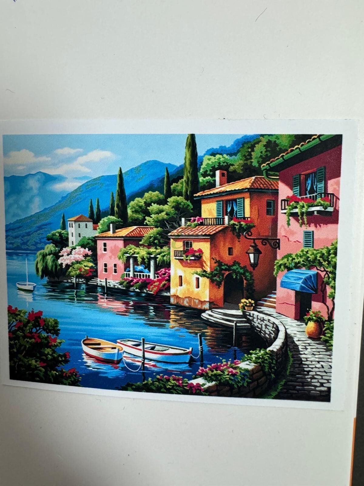 50*65 cm Boncuklu Goblen(Elmas Boyama) SGK71990