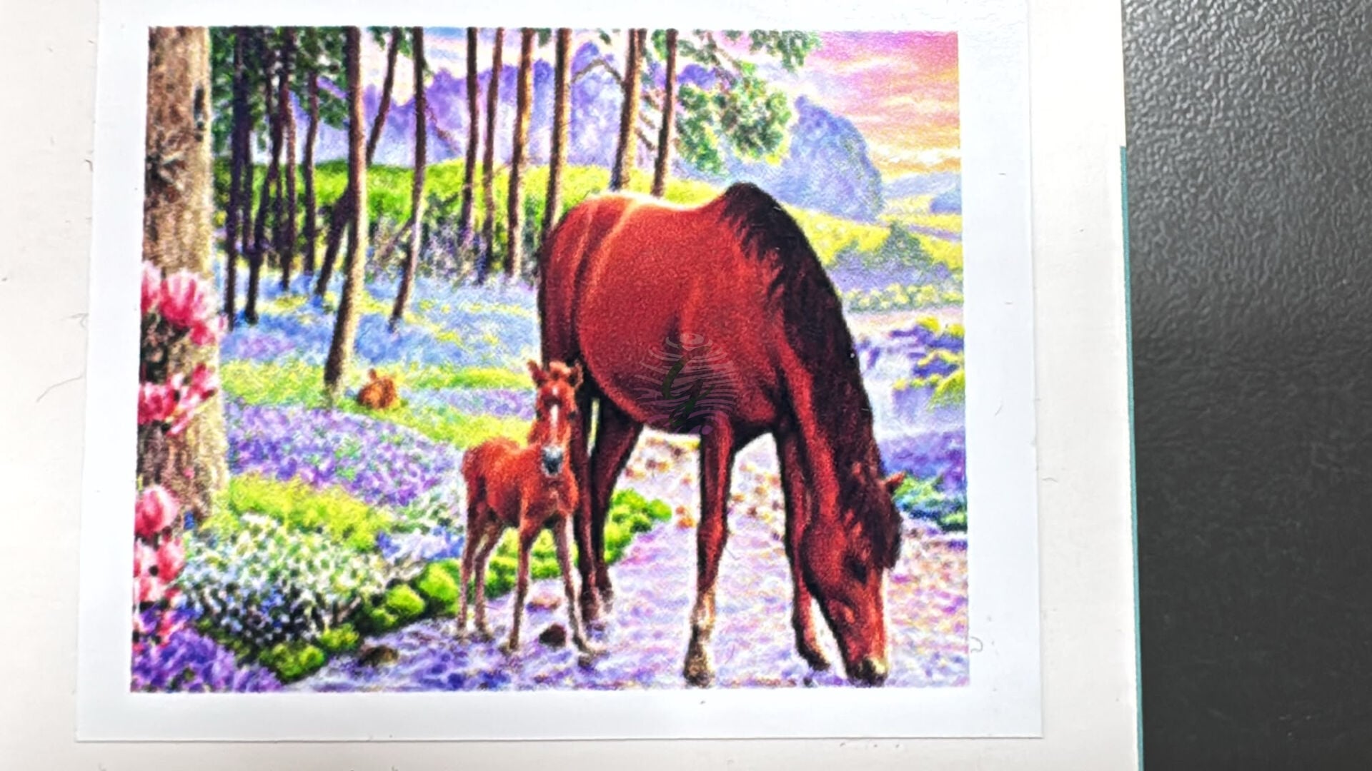30*40 cm Boncuklu Goblen(Elmas Boyama) GD73583