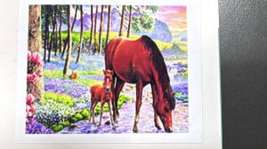 30*40 cm Boncuklu Goblen(Elmas Boyama) GD73583