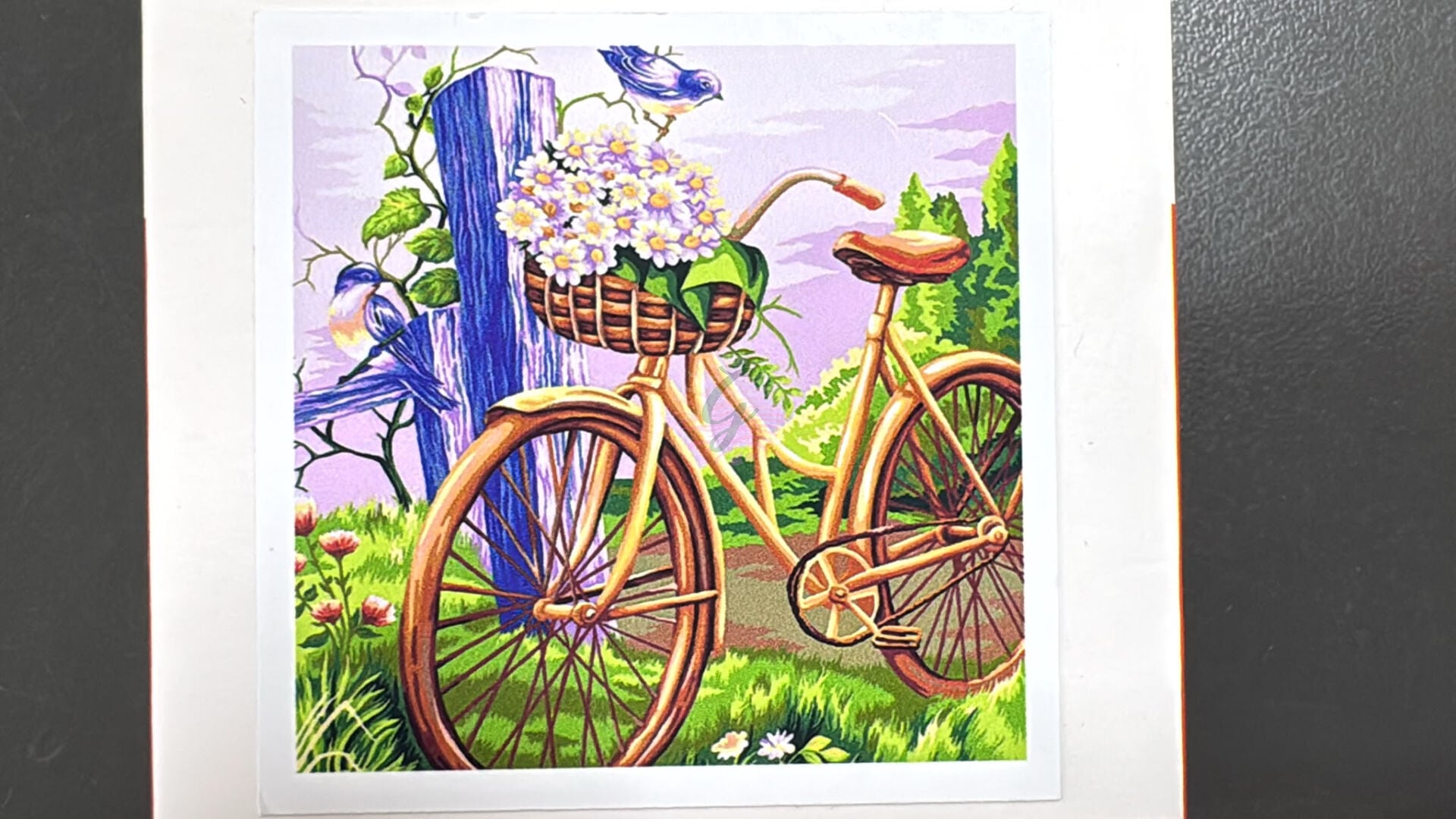 30*30 cm Boncuklu Goblen(Elmas Boyama) MS19425