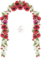 Yoğun Gelincik Seccade Şablonu-20032301