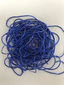 Uğurlu Kurtcuk Parlement