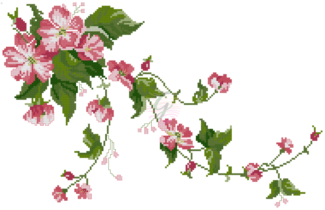 Hibiscus Çiçeği Şablonu-20042501