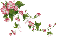 Hibiscus Çiçeği Şablonu-20042501