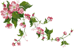 Hibiscus Çiçeği Şablonu-20042501