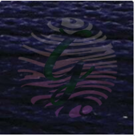 Anchor Muline 1-189 No  Arası 127