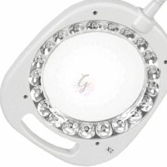 Purelite Ayaklı Işıklı Tutacaklı Büyüteç 4'ü Bir Arada ( 4 in 1 ) CFPL14