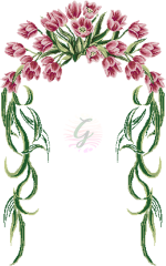 Açmış Lale Seccade Şablonu-20032101