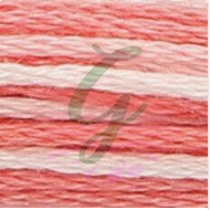 Anchor Muline Ebruli Renkler 1202